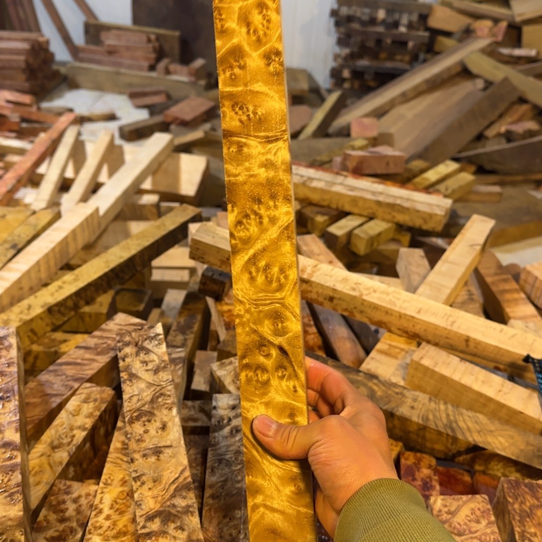 木黄金樟树瘤球杆料