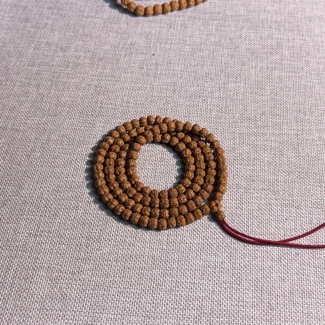 奴***飞定制毕业6.0五爪金龙