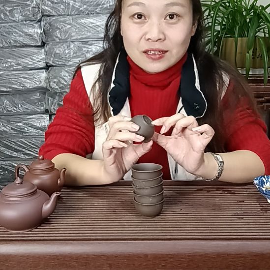 茶杯紫砂宜兴紫砂壶