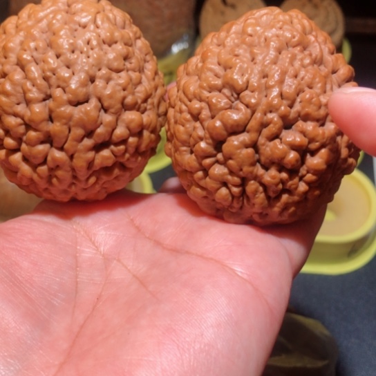 文玩核桃把件脑纹金刚菩提