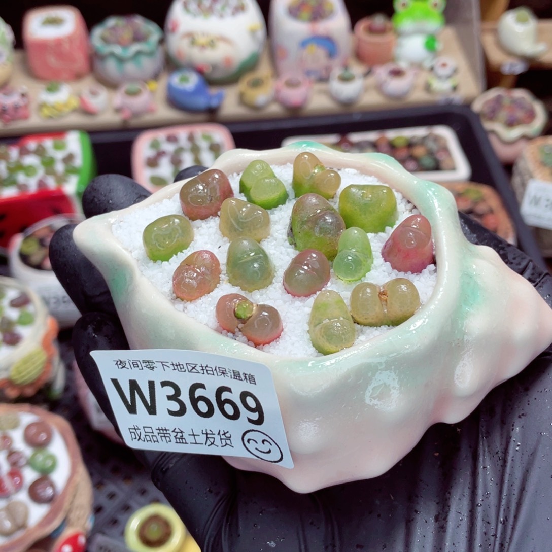 夜间零下地区拍保温箱w3669