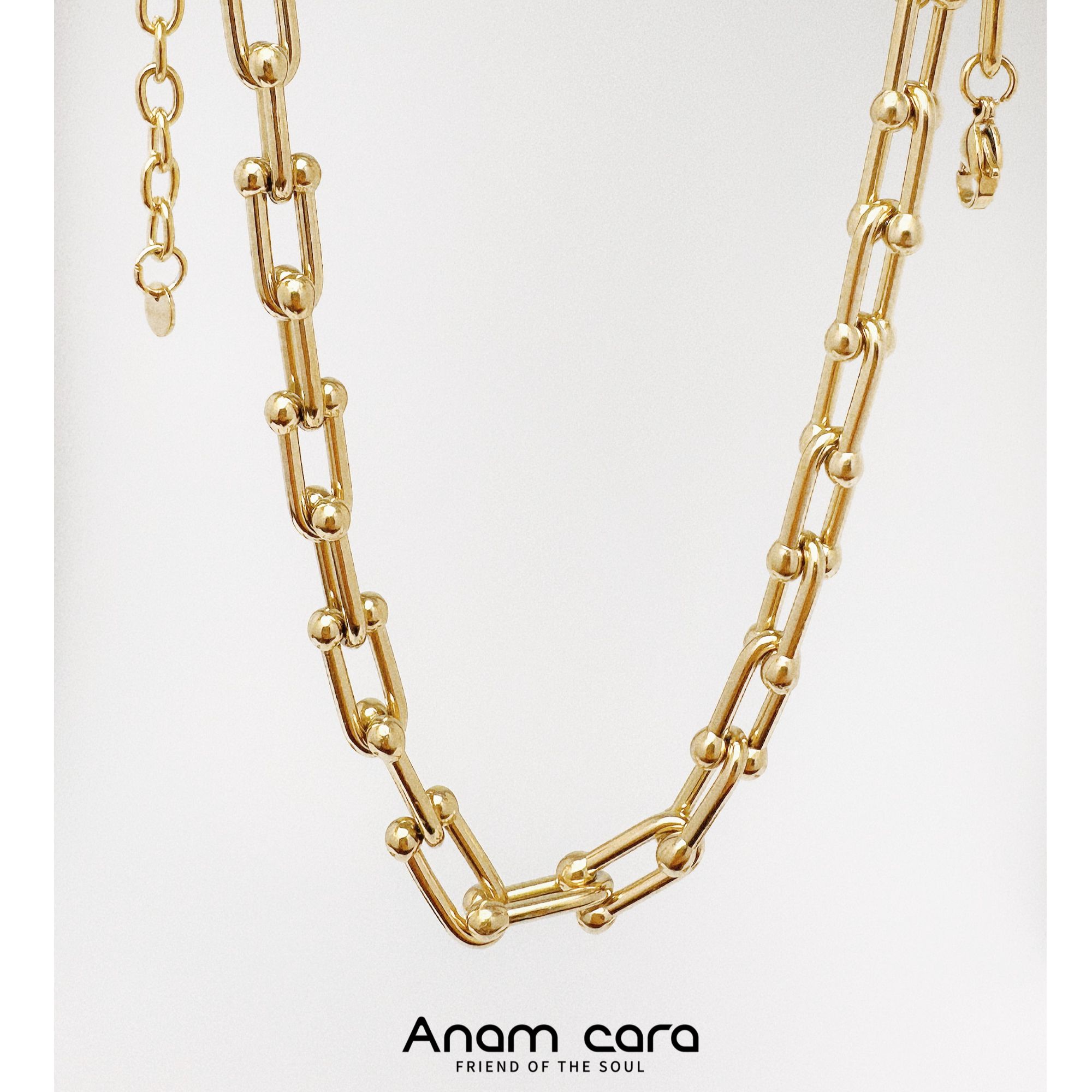 铜合金项链 厚镀金色项链女马蹄镂空高级小众性感蛇年新款饰品礼