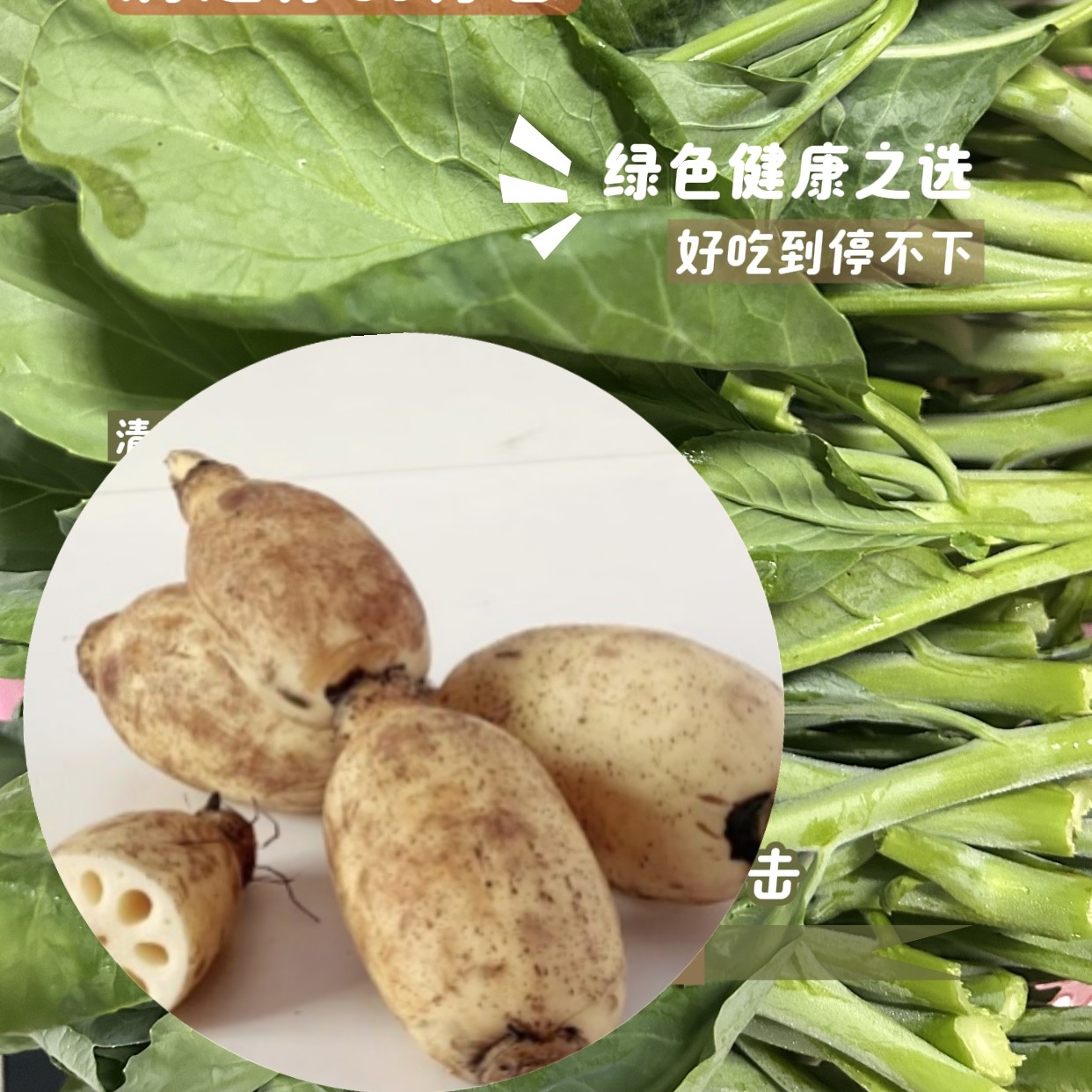 双拼潮汕露天种植农家菜莲藕芥兰菜搭配