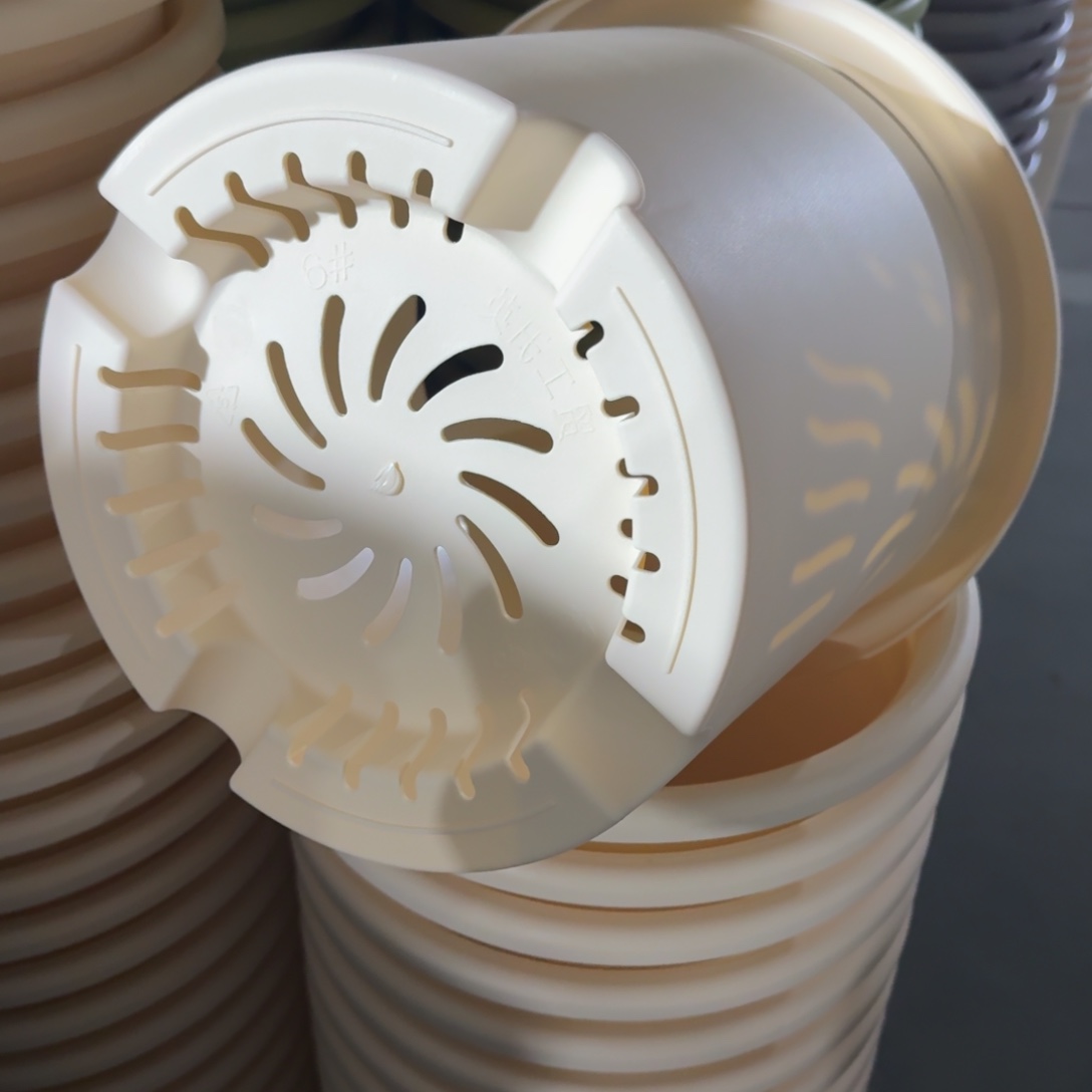 四季6号5个米黄色