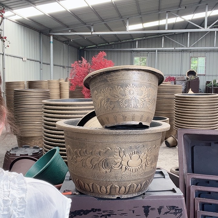 55668855566555556666