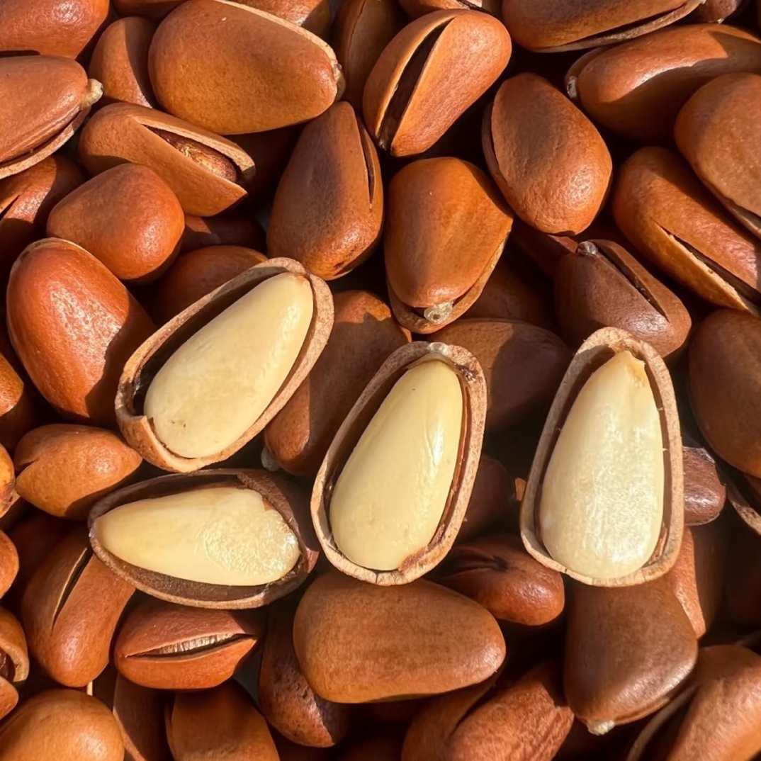 优质东北开口松子解馋零食200g起