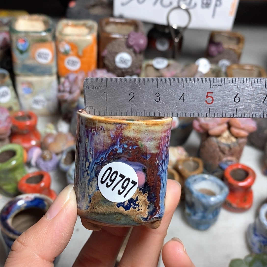 多肉花盆，拍5送一个小礼物