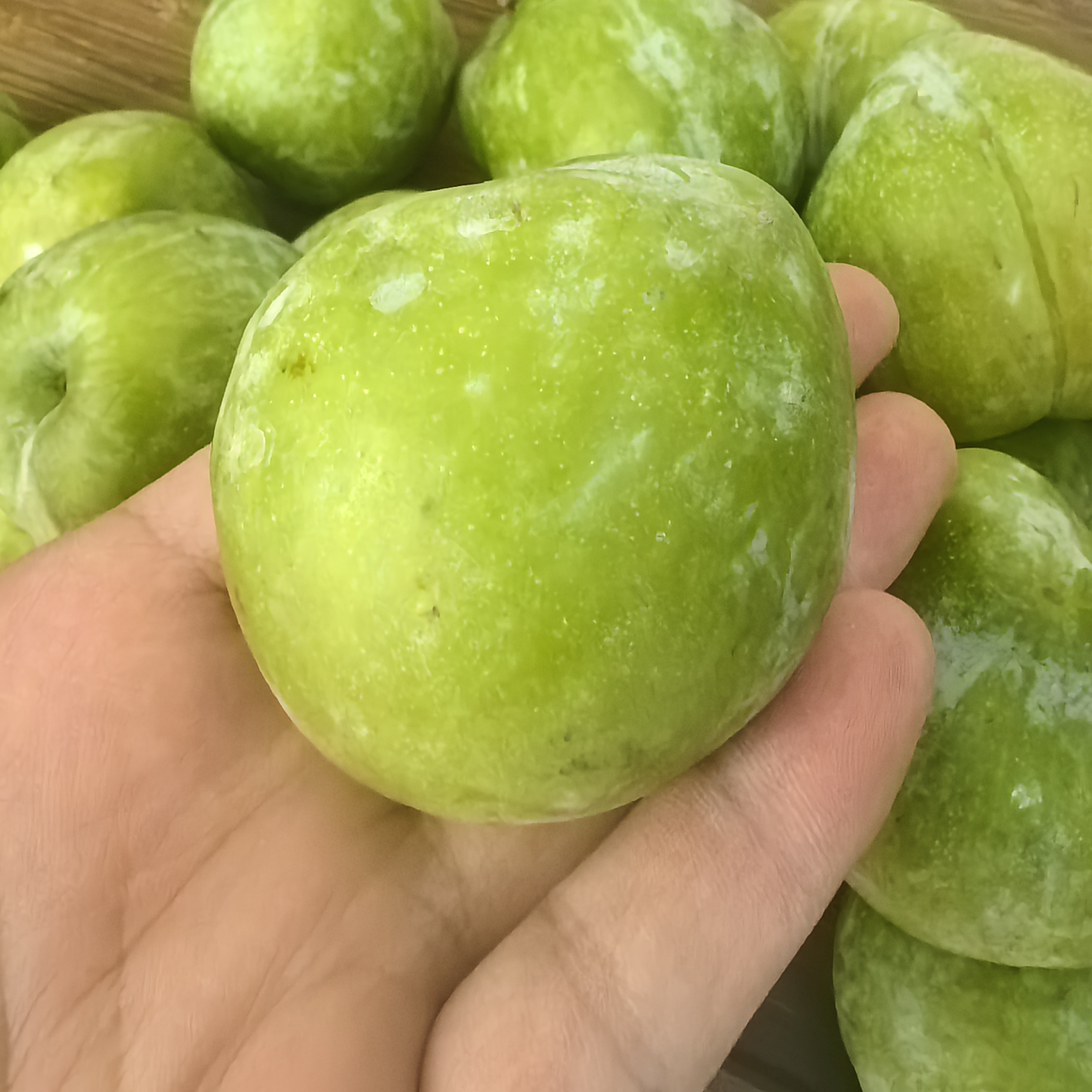 【湖南·芷江】本地奈李包邮