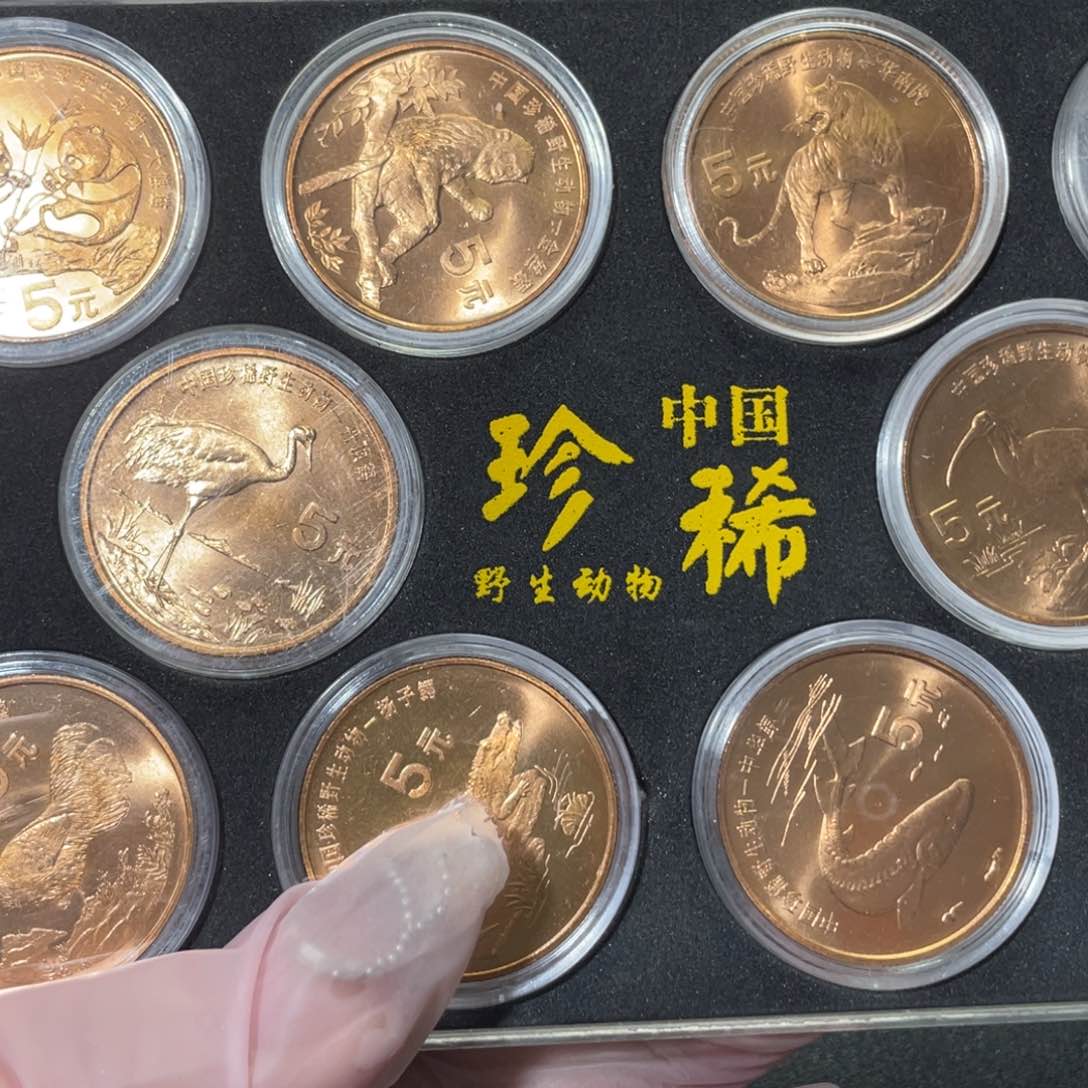 其他普通金属珍稀动物套盒一套