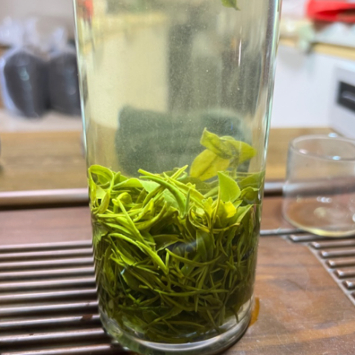 一芽一叶雨前信阳毛尖