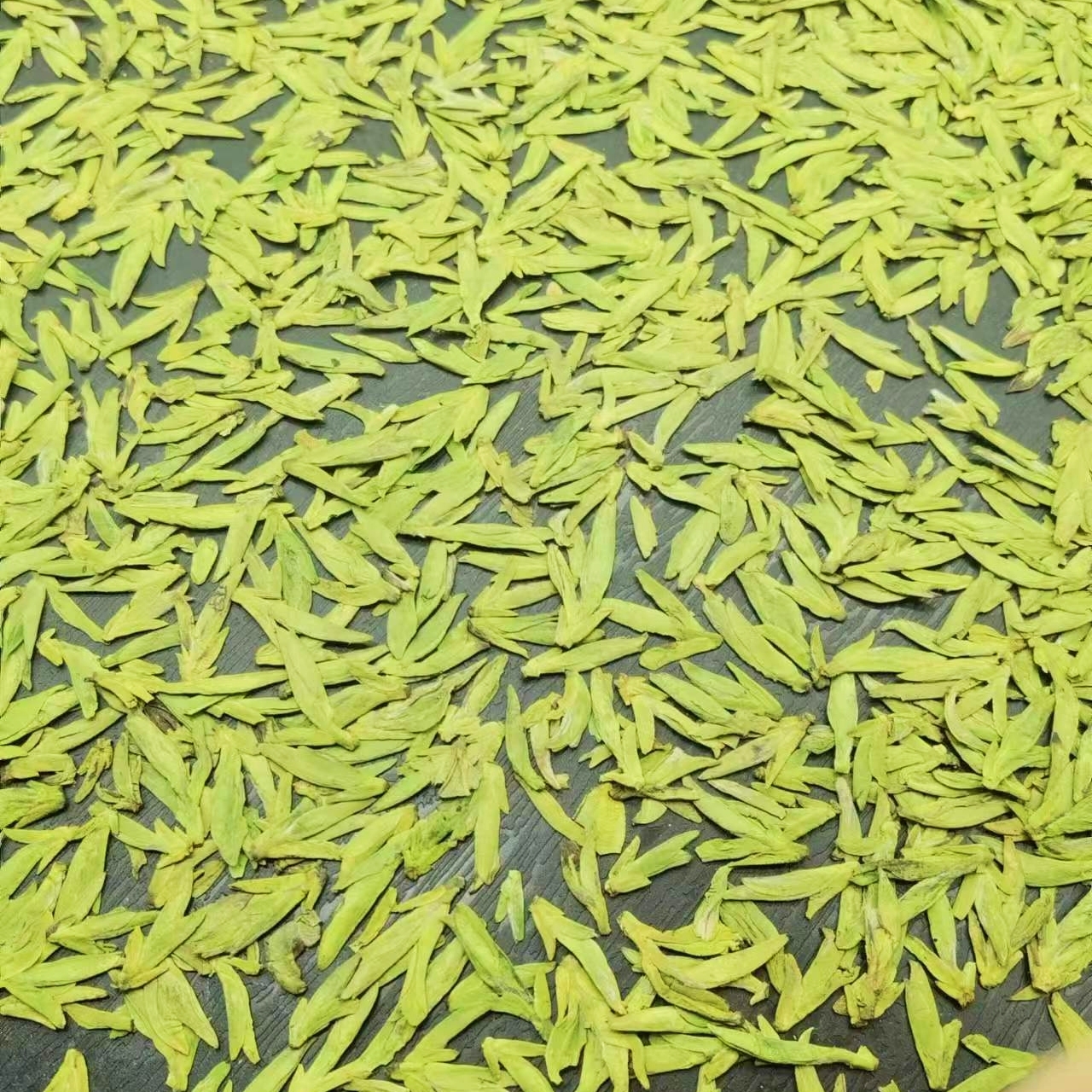 【M520款2025年新茶】2025年头采小芽孢龙井 香醇鲜爽回甘足