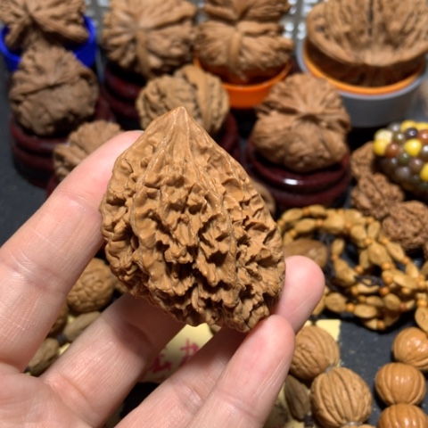 核桃飞****觉一帆风顺