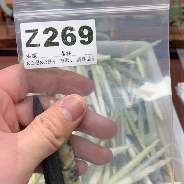 蛇纹石玉发饰合金?***?