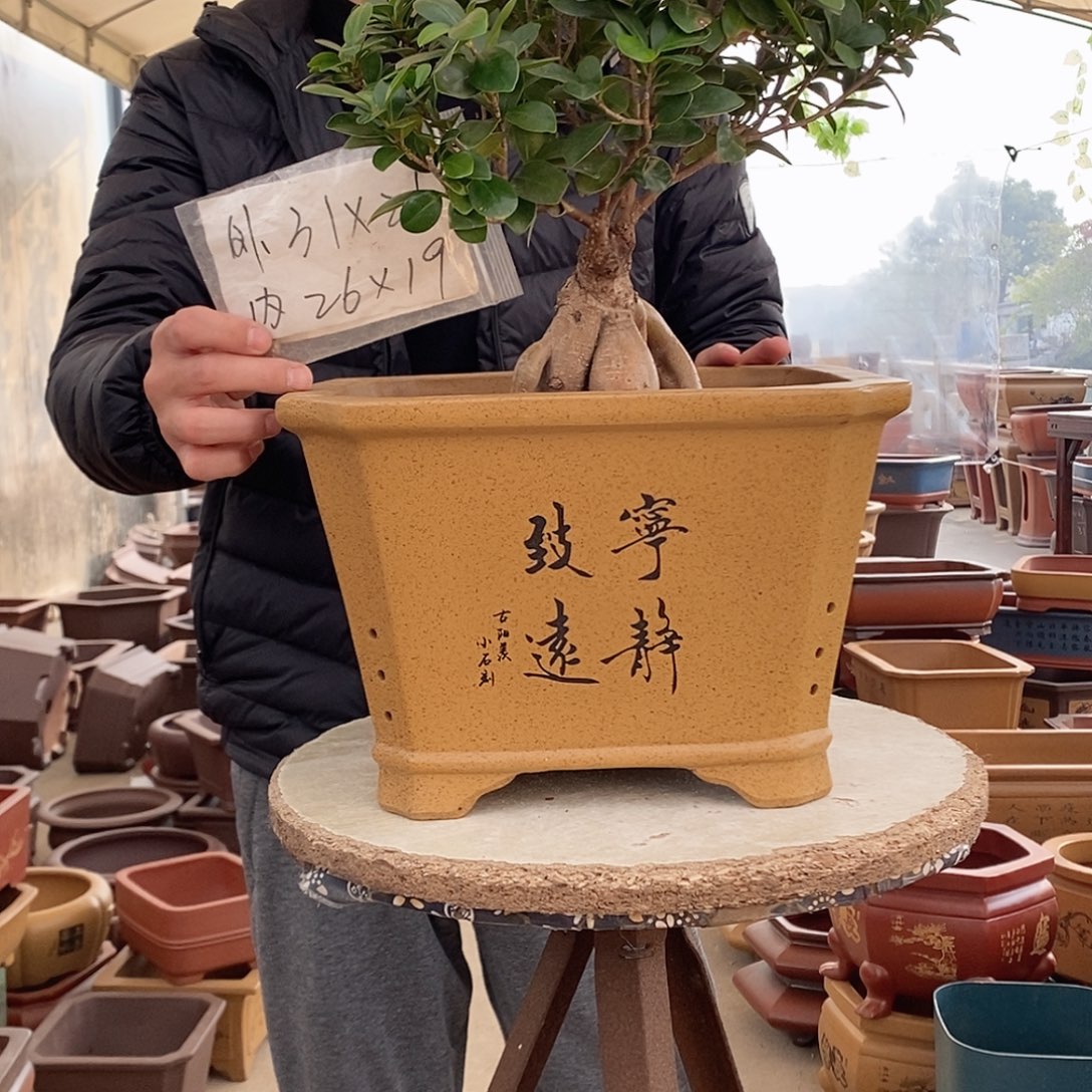 紫砂花盆紫砂花盆