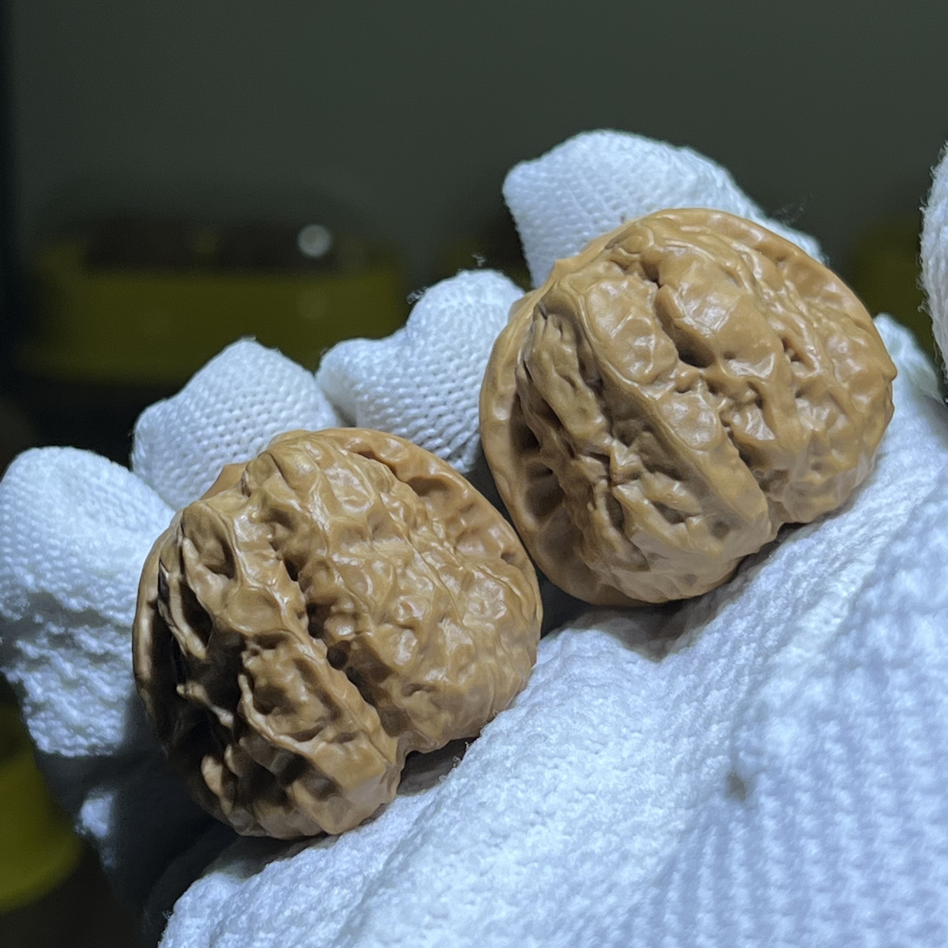 精品文玩核桃-精修精对怀柔肌肉双开背蛤蟆头文玩核桃