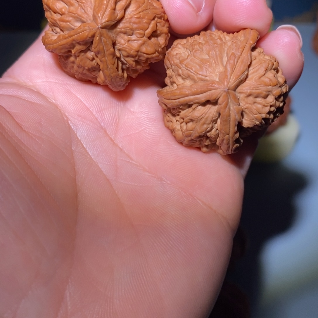 把件文玩核桃J*…35白狮子三楞