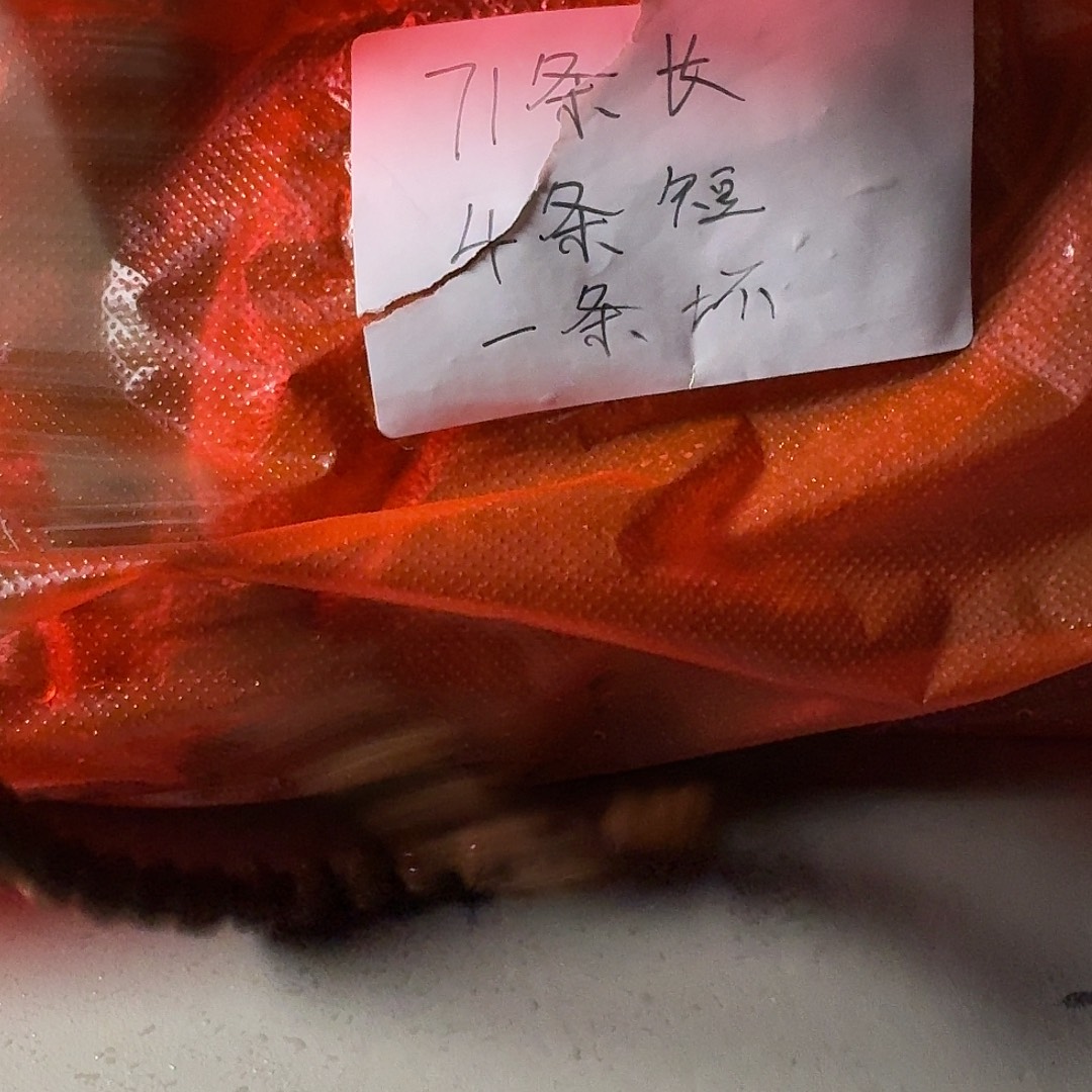 *****金刚菩提吊坠老树王福利