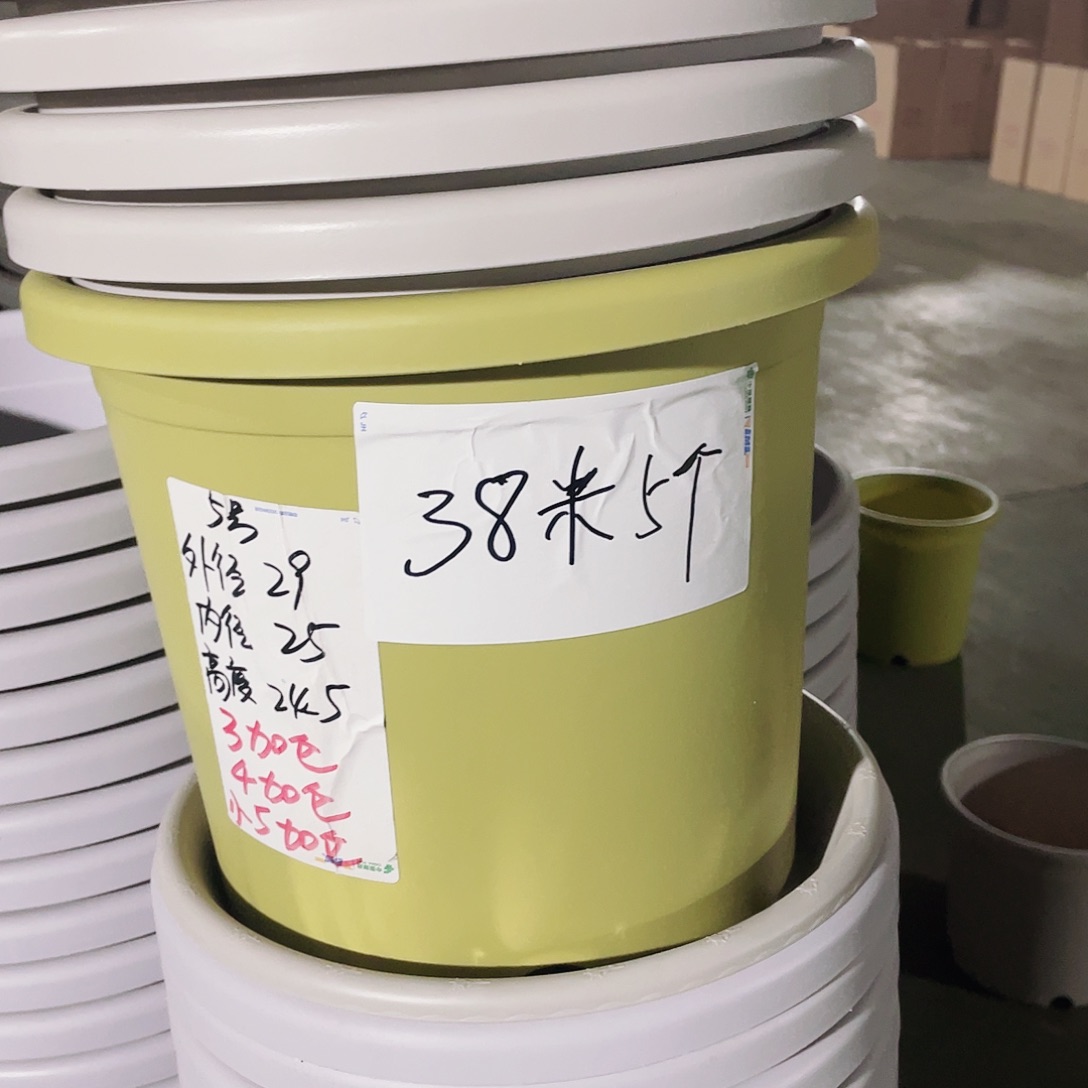 微瑕5#无拖果绿6个