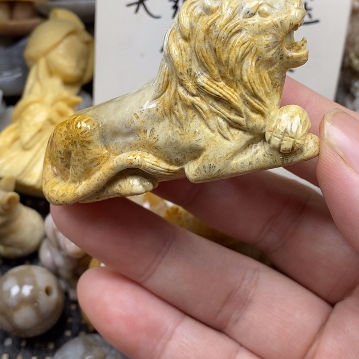 硅化珊瑚（珊瑚玉）未镶嵌颈饰