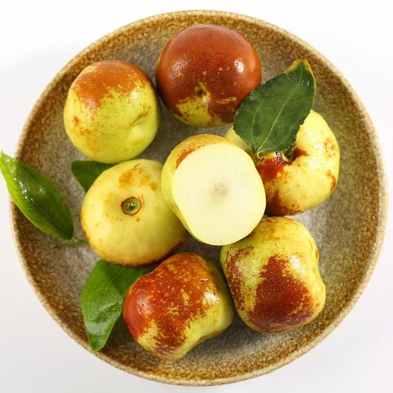 正宗山西蟠枣苗基地直发大果纯甜大蟠枣树 现拍现挖（基地直供）