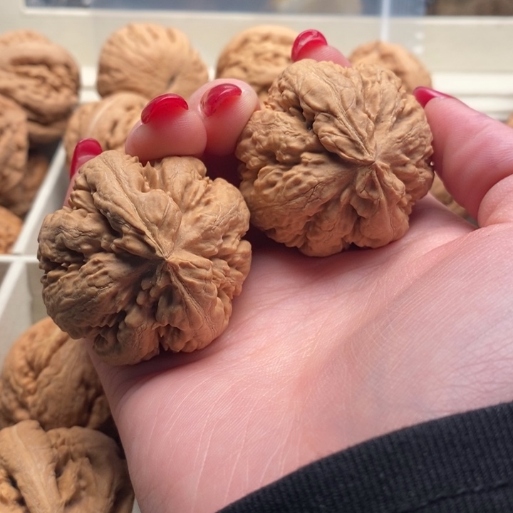 你***啥把件文玩核桃霸王龙