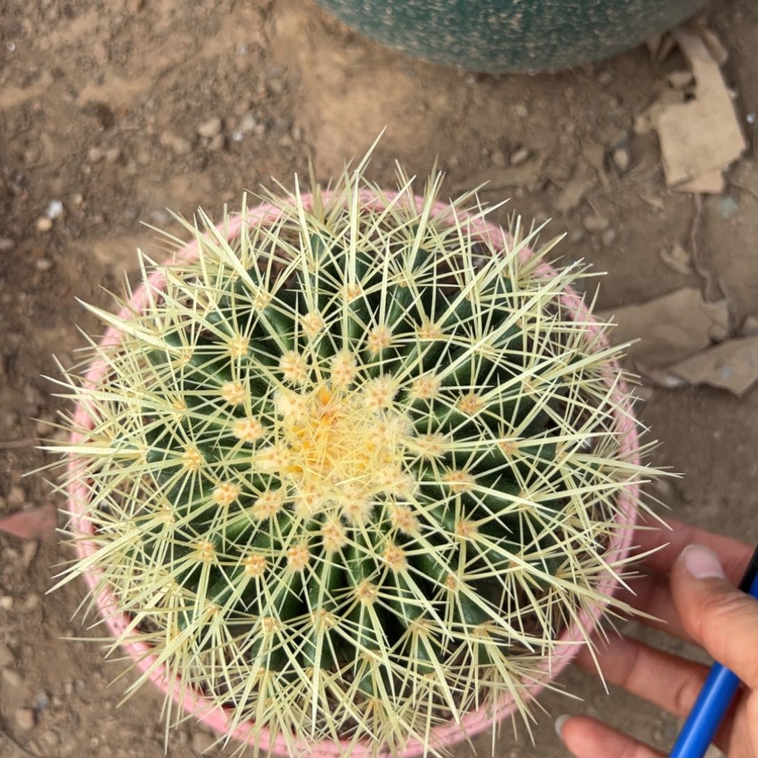 淡***福零零落落 零零落落