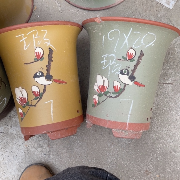 红陶紫砂紫砂紫砂