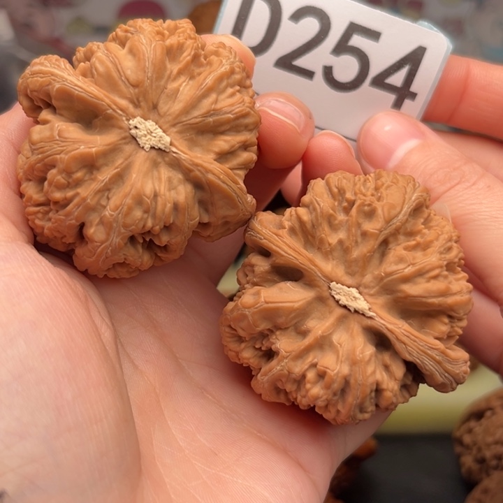晓***阳吊坠文玩核桃254粗筋50