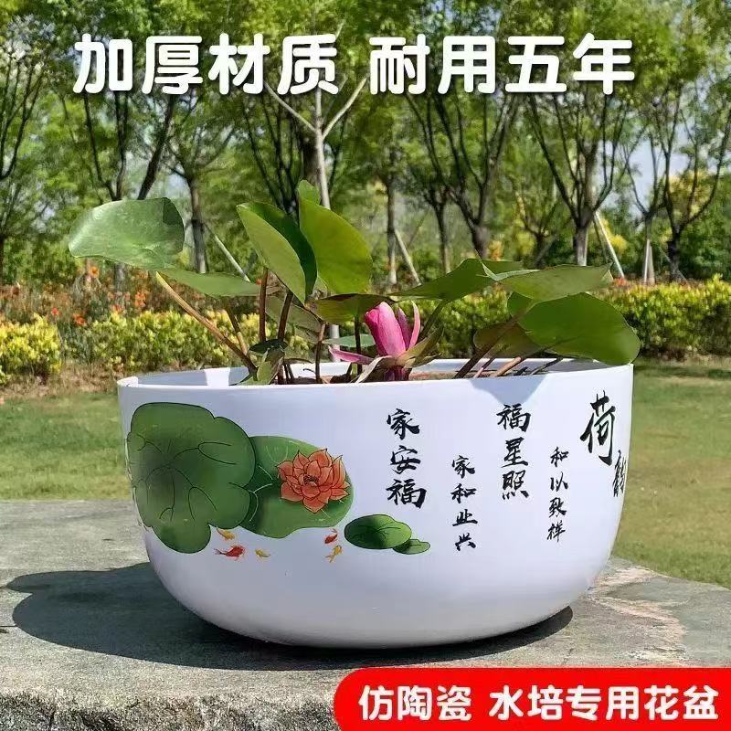 【1.2.3装】特大号水培盆 加大加厚睡莲荷花盆碗莲水培无孔专用圆形