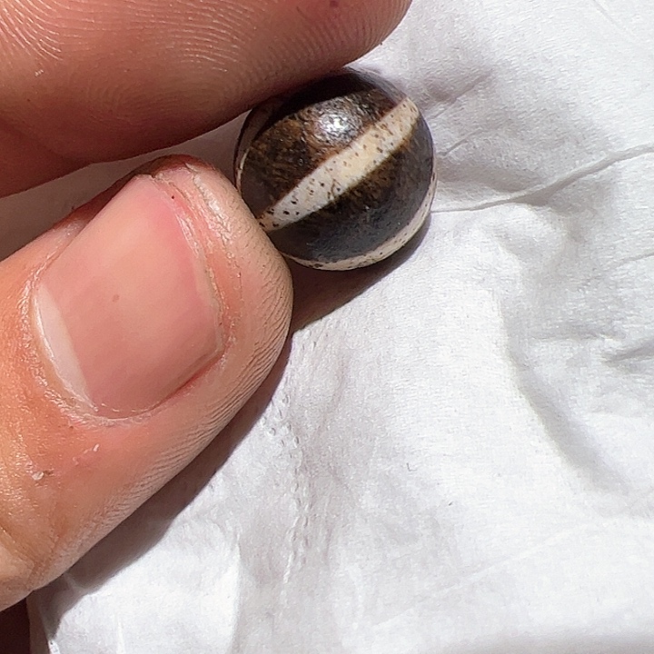 香榧木串**控在家了一天，