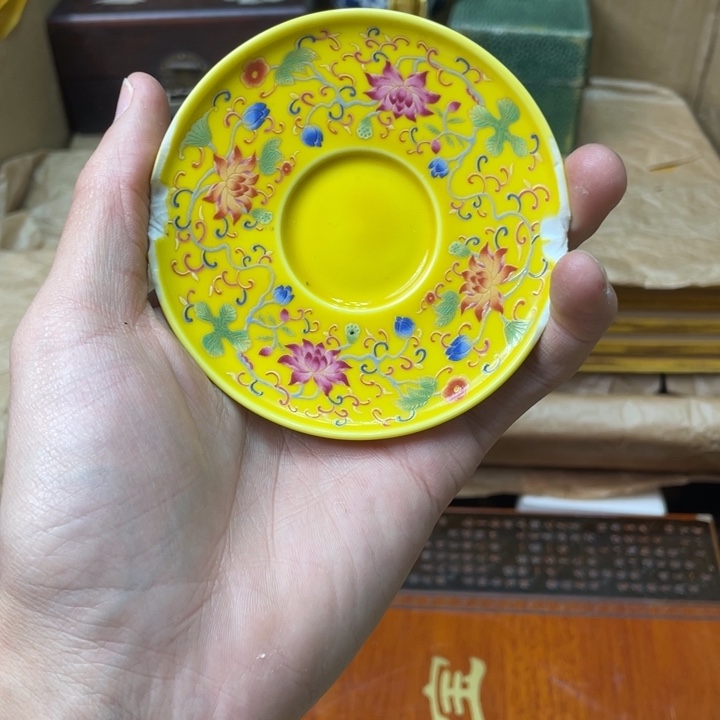 贝壳摆件峰云恩专属精选链接