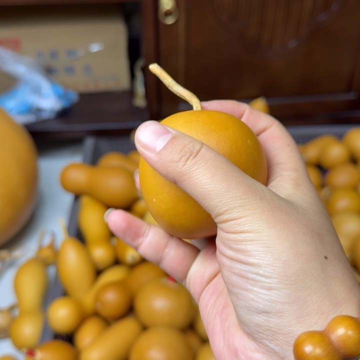 花***眼竹类老皮苹果葫芦