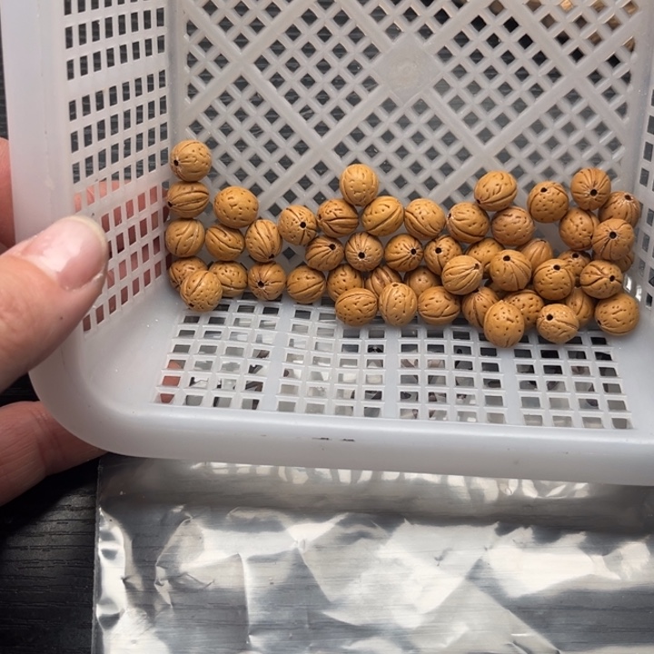 ****️手串文玩核桃散籽发货50福利款