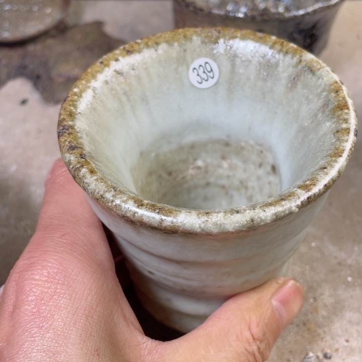 茶宠盏盏灯都是我的爱啊