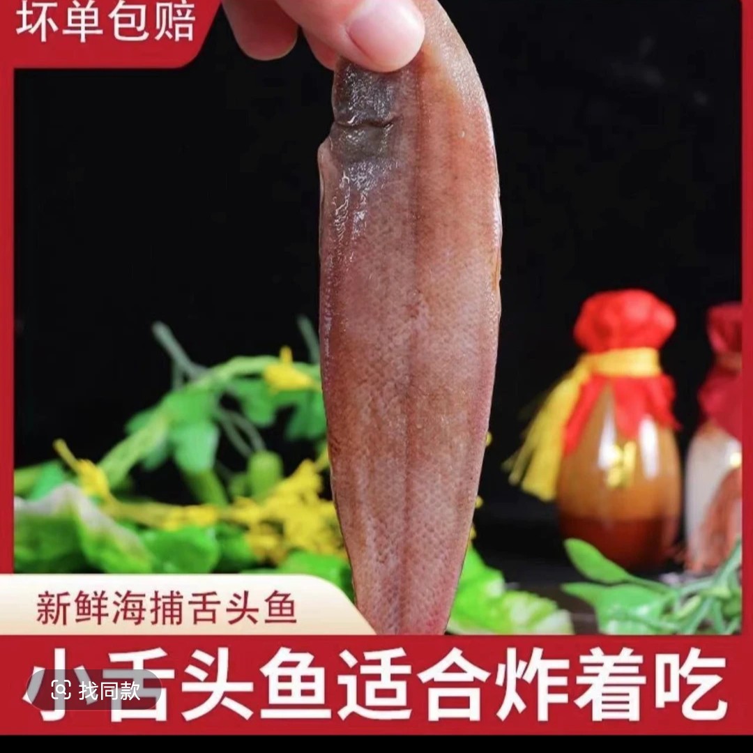 《粉丝福利》汕尾本港野生小舌头鱼 龙利鱼 龙舌鱼