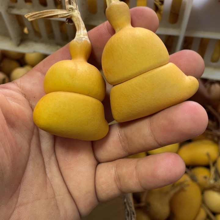 1***9哈哈哈哈哈哈葫芦