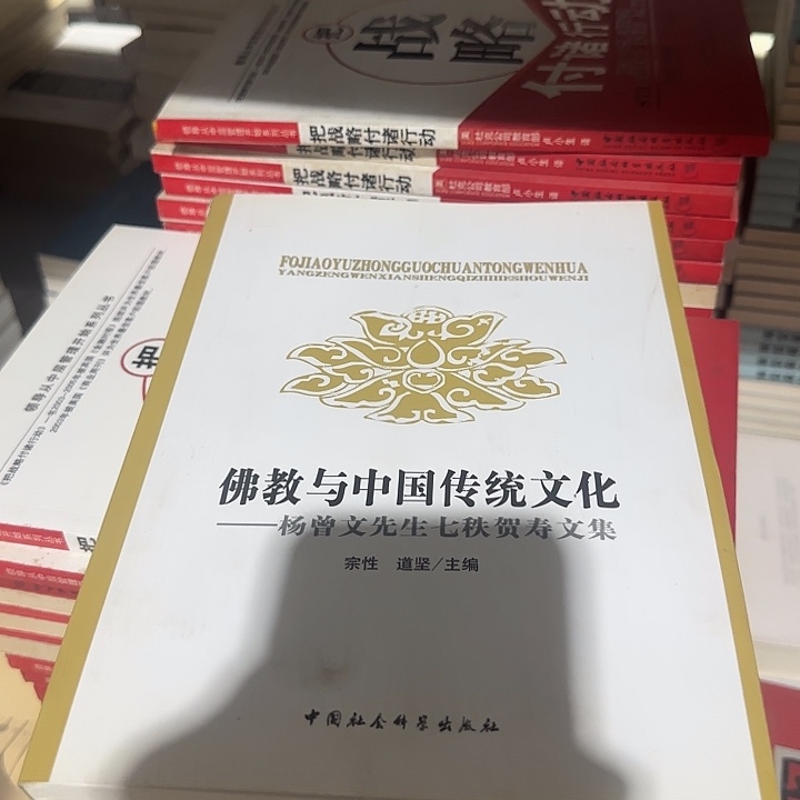 正版参数佛某娇与中国床