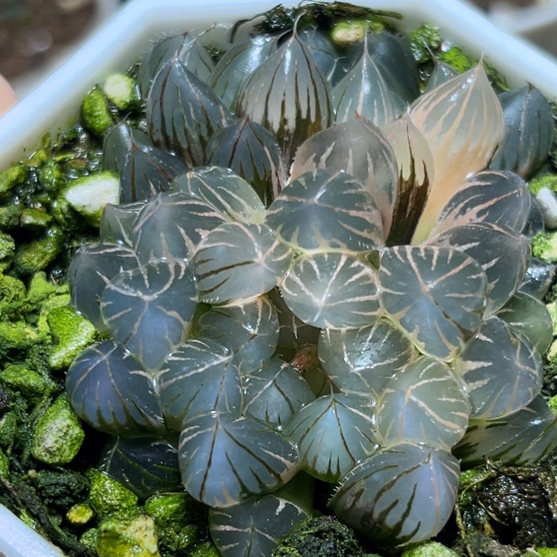 恭喜发财大吉大利928