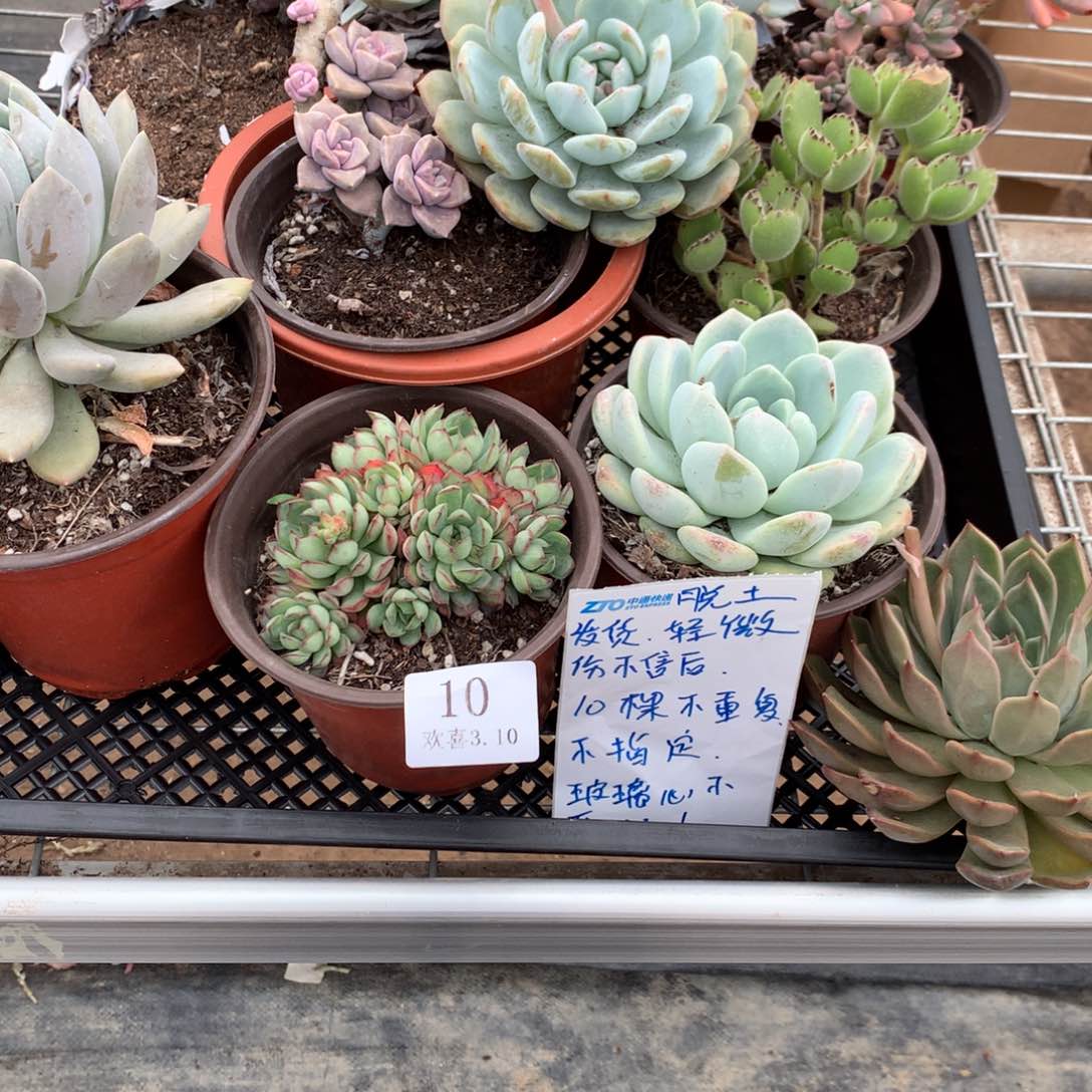 10一箱一箱一箱一箱