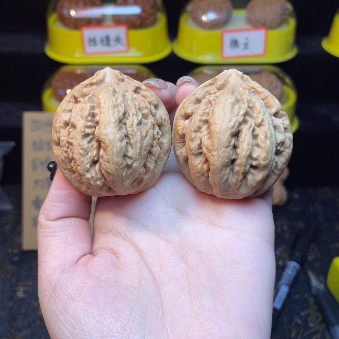 文玩核桃把件霸王龙44