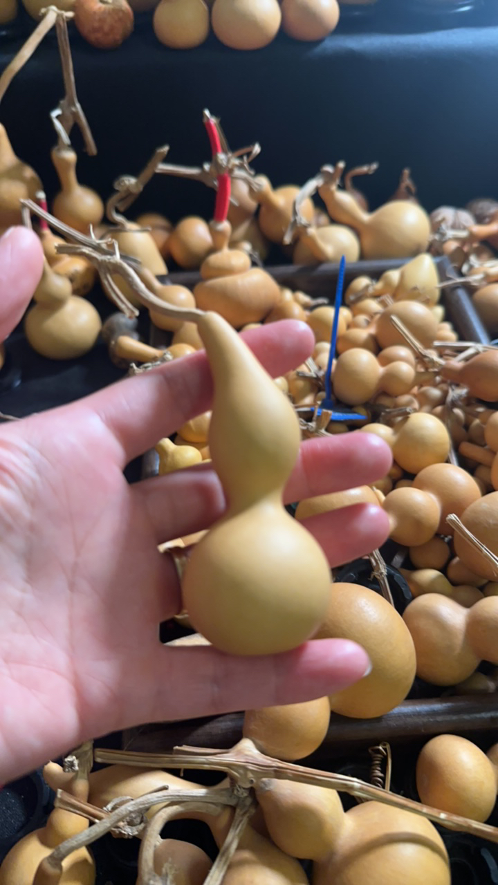 文玩葫芦天津嘴手把件