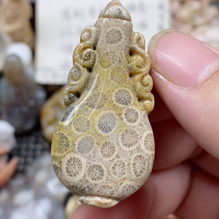 硅化珊瑚（珊瑚玉）未镶嵌颈饰