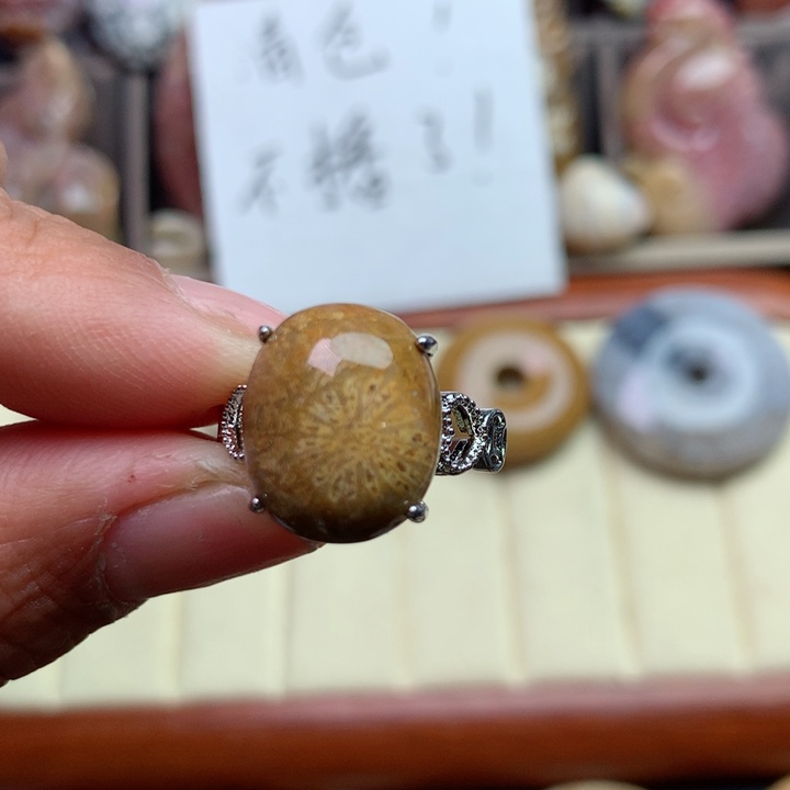 硅化珊瑚（珊瑚玉）颈饰未镶嵌