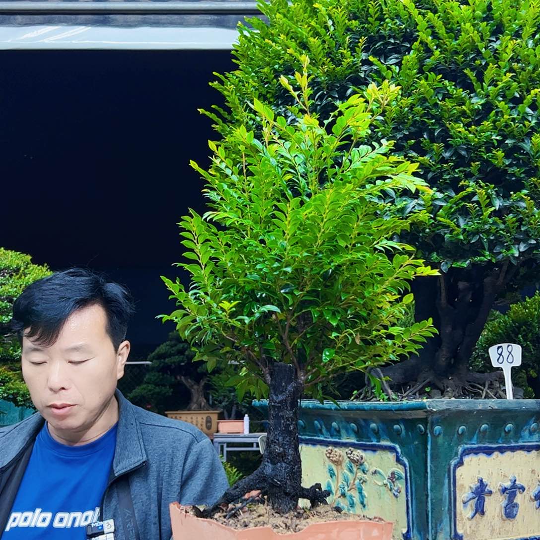 以实际为准元*12345678
