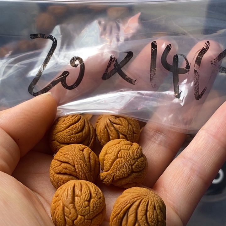 文玩核桃手串秦岭野生龙纹桃核20