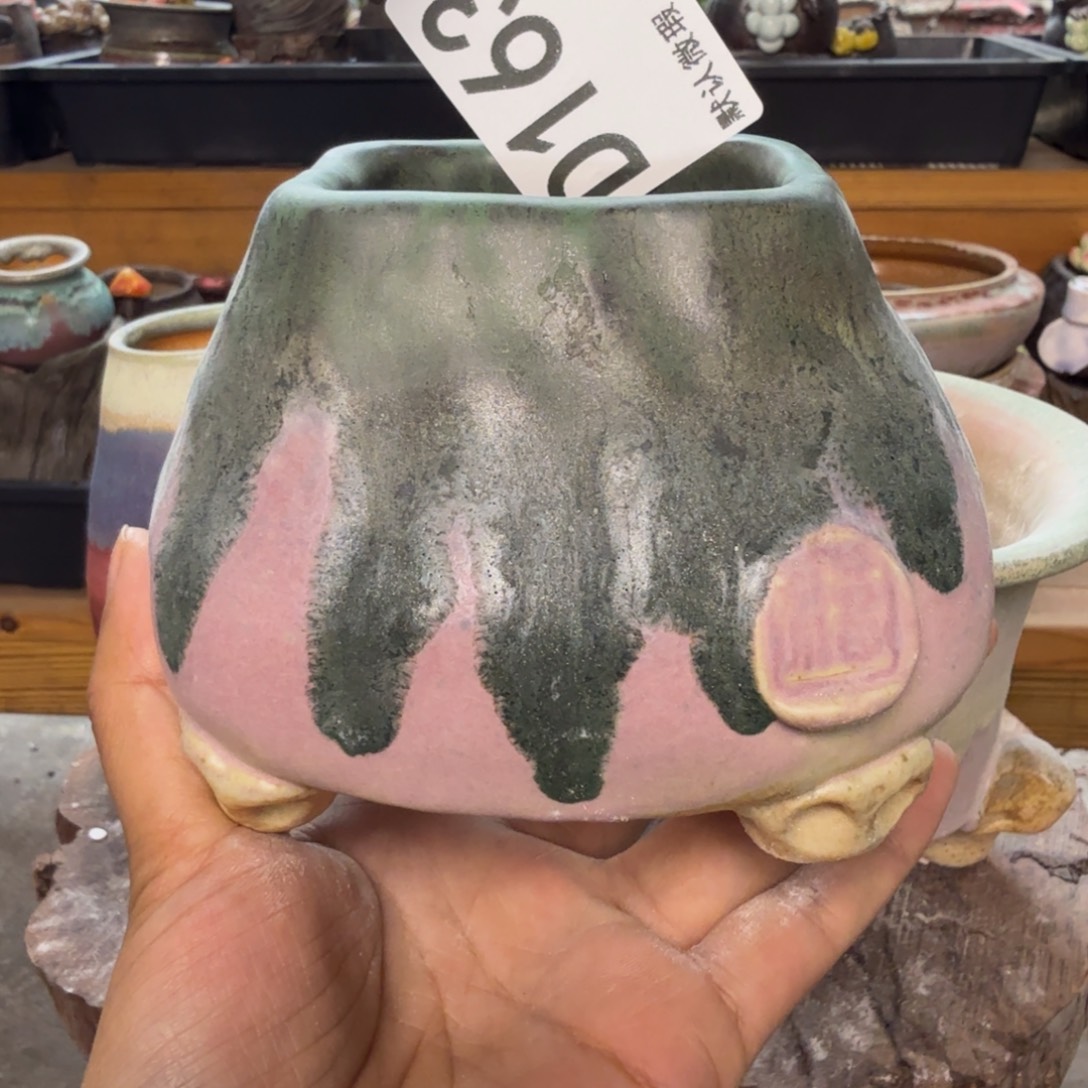 重庆小燕子欢迎大家163