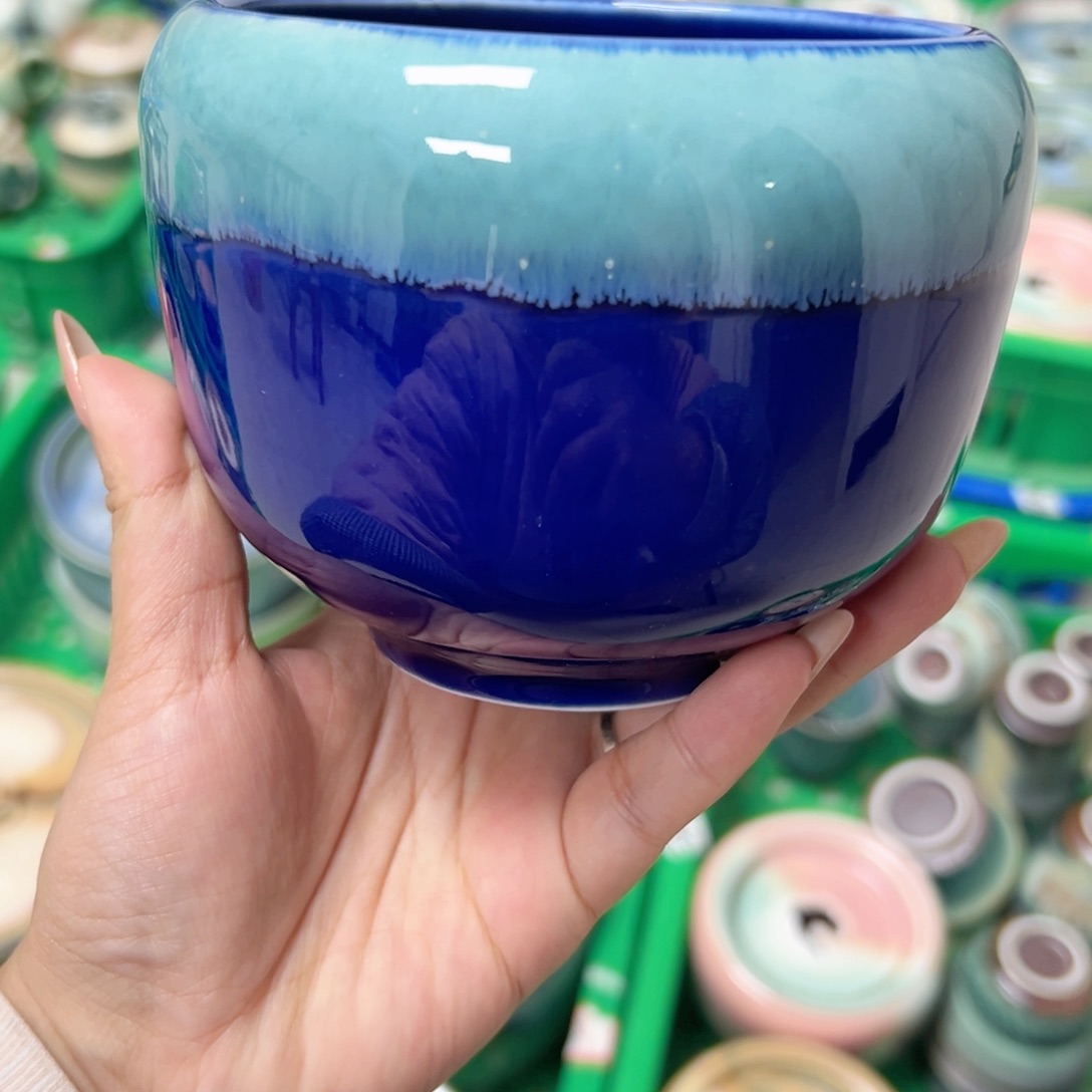 碟无盖款，杯杯杯杯杯杯杯杯