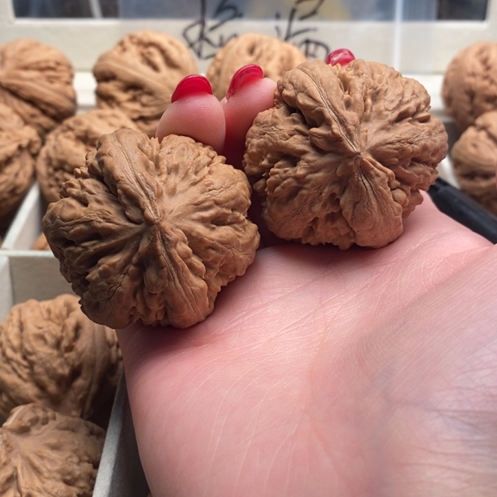 王***、霸王龙全品无修一刀没动