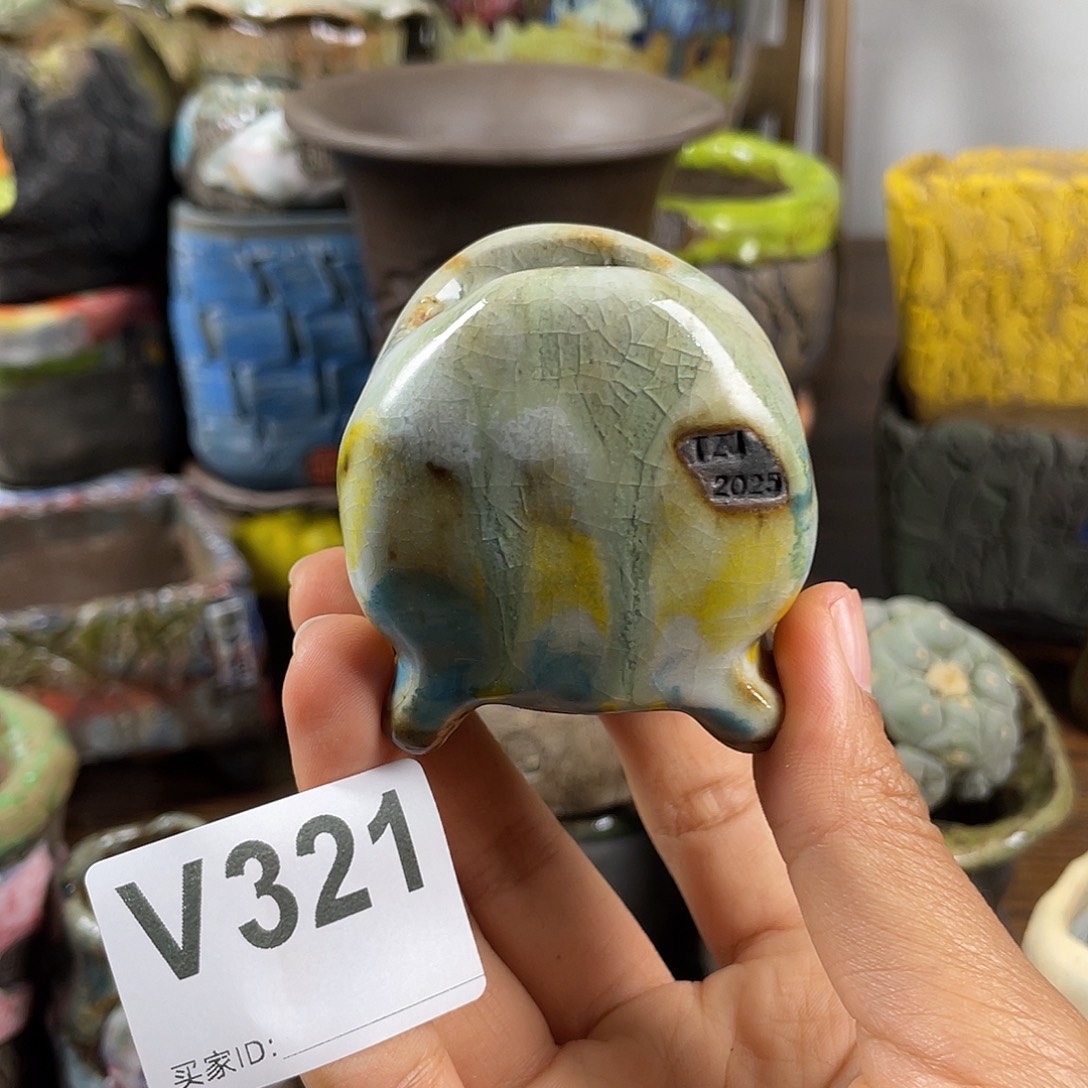 默认微次  限时福利 坛子姐花盆