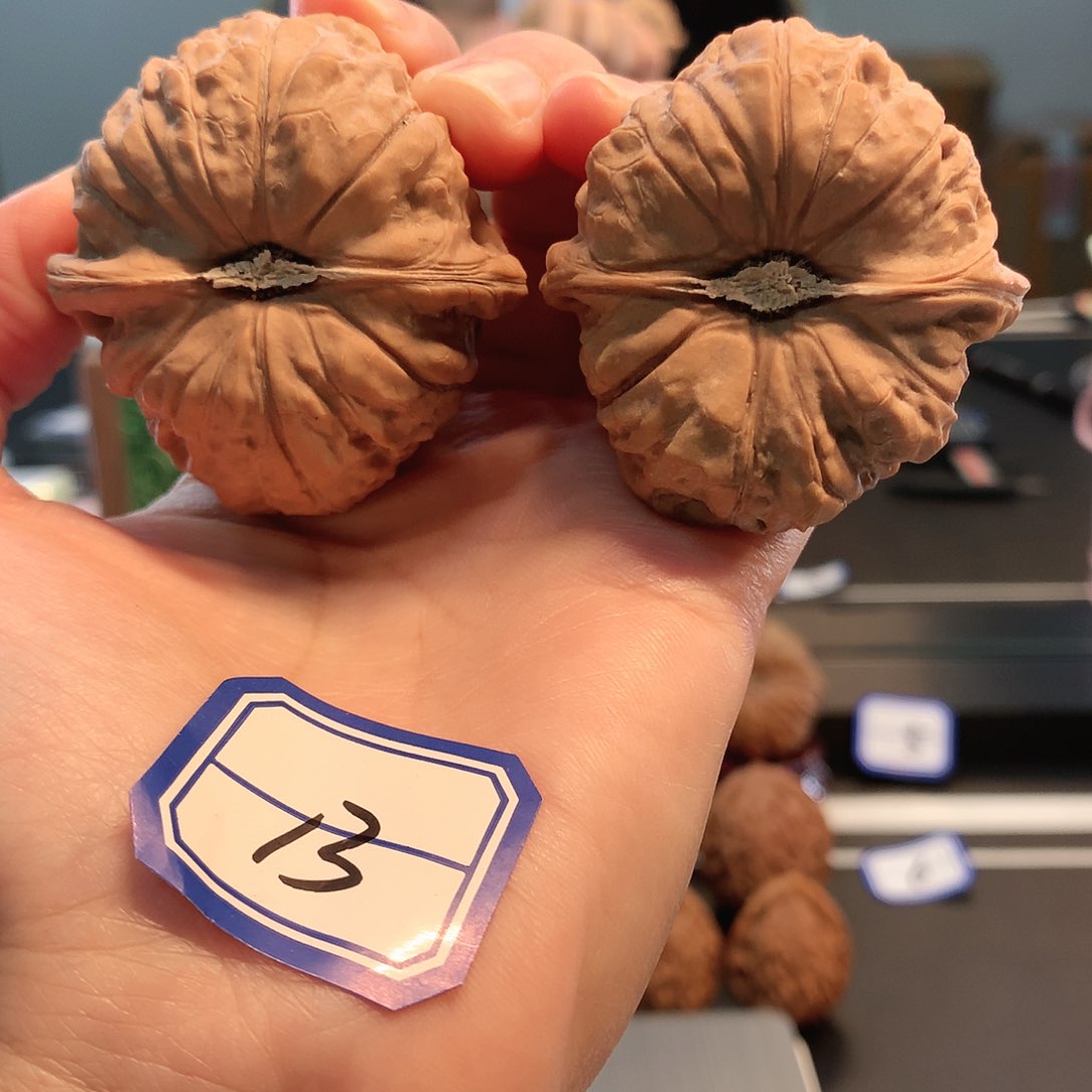 【闪购商品】吊坠文玩核桃南瓜 45尺